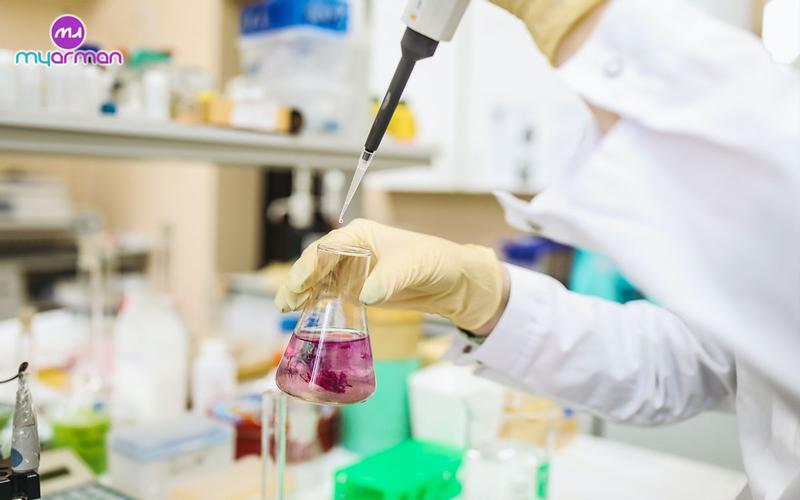 Studied Pharmacy in Canada