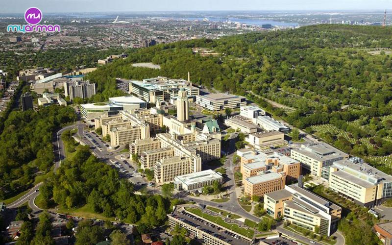 Computer major in Canada