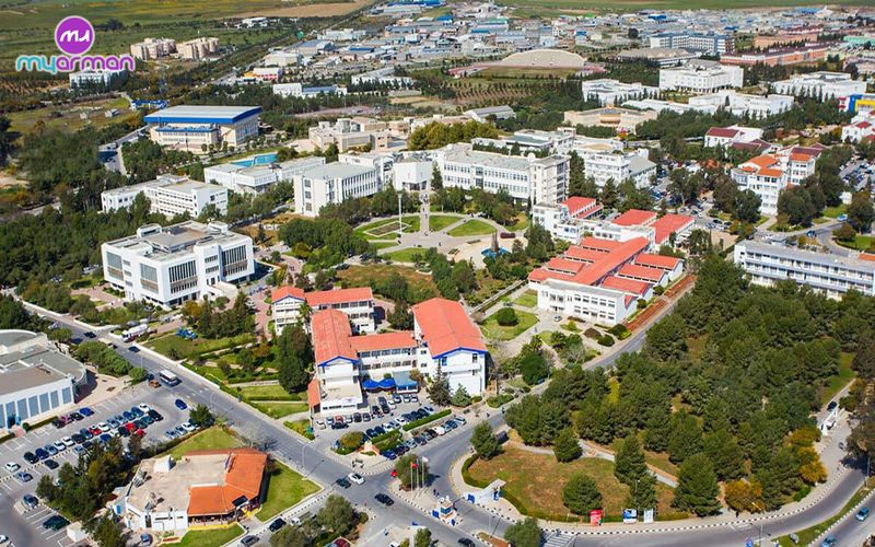 دانشگاه های قبرس
