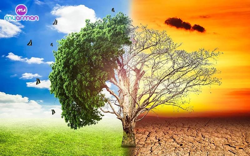 تحقیقات در مورد گرم شدن زمین