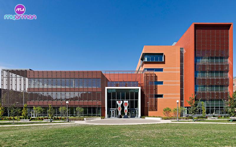 university