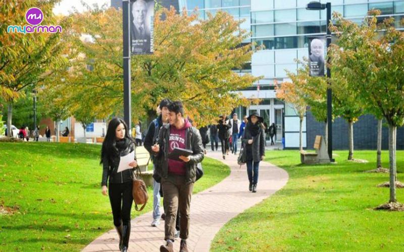 تحصیل در ایرلند
