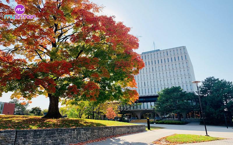 Canadian Engineering Universities
